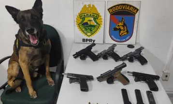 Cão da PM encontra seis pistolas estrangeiras em mala de passageira no PR