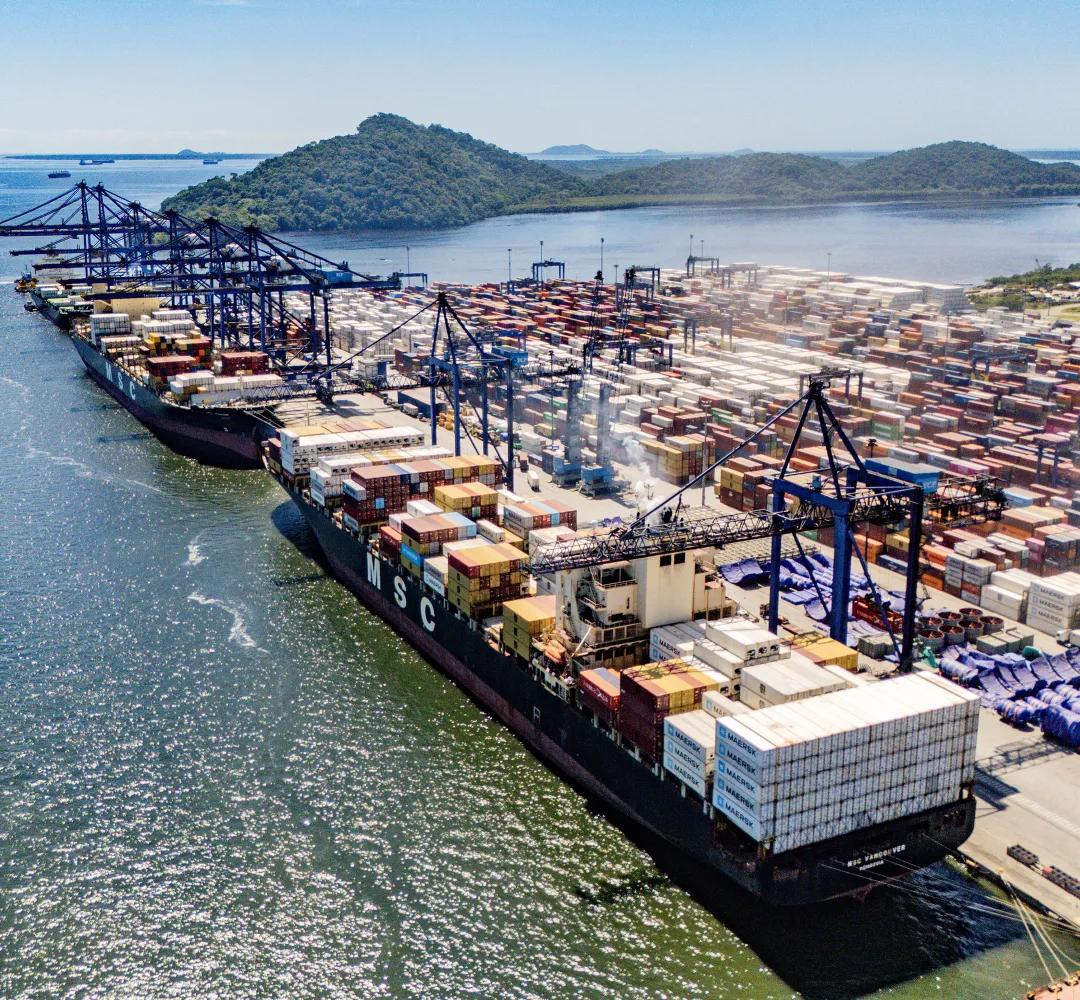 Exportações de frango