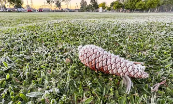Paraná registra menor temperatura do ano e sensação térmica chega a -8,4°C