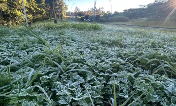 Frio continua no Paraná e quinta-feira pode ter novas temperaturas negativas e recordes de mínima