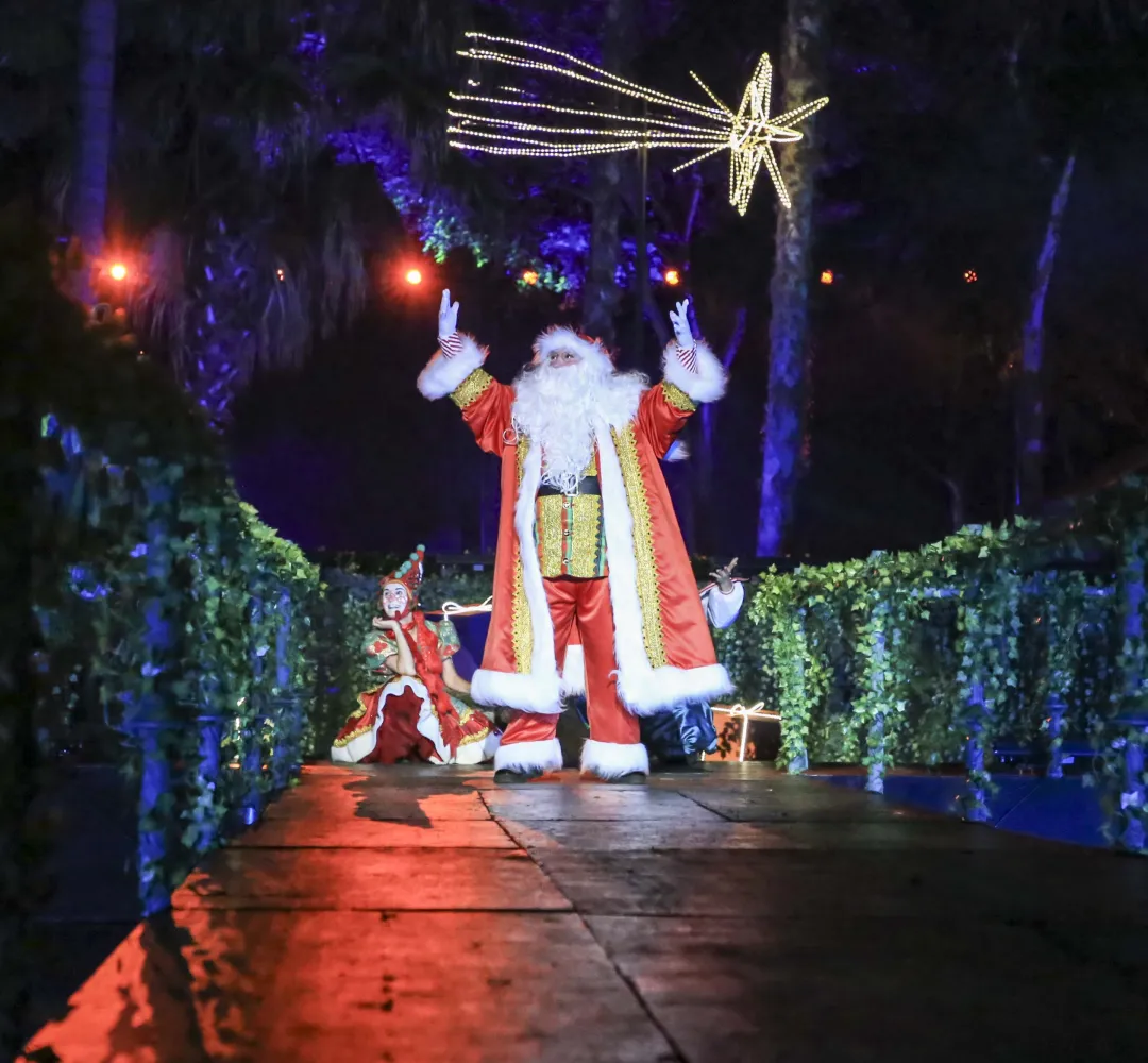 natal curitiba