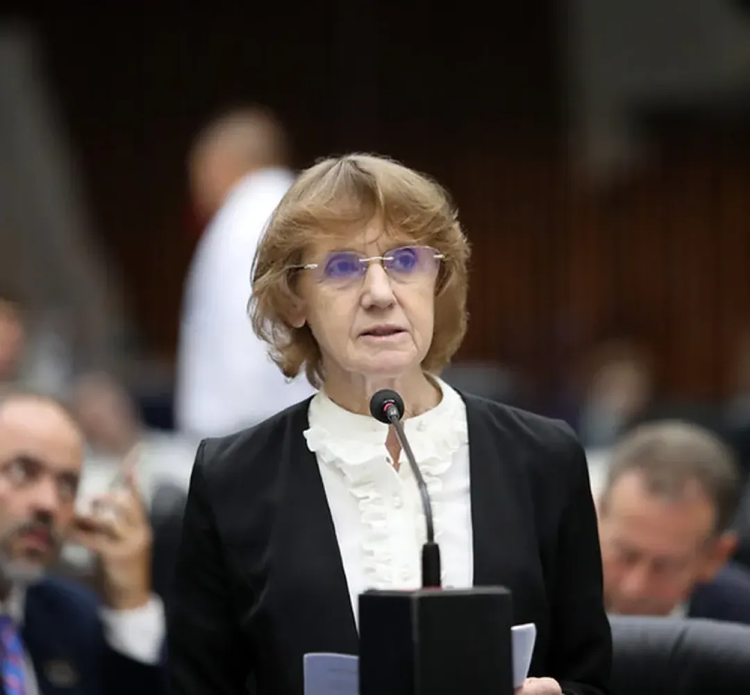 Deputada Luciana Rafagnin