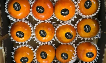 Paraná realiza primeiro embarque de caqui para a Costa Rica e amplia mercado internacional