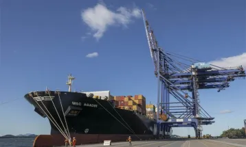 Tarifa dos EUA ameaça exportações do Paraná; café, madeira e tilápia estão na lista