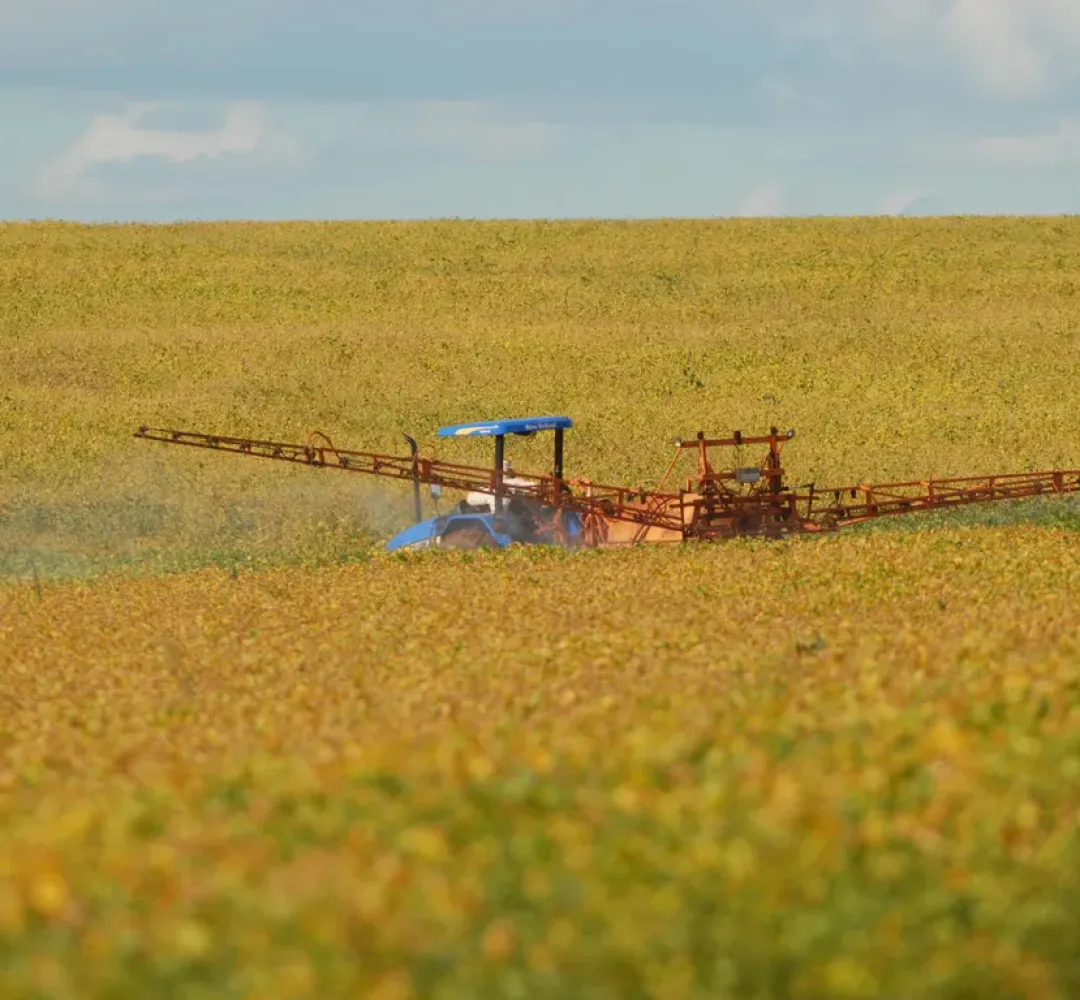 derivas de agrotóxicos