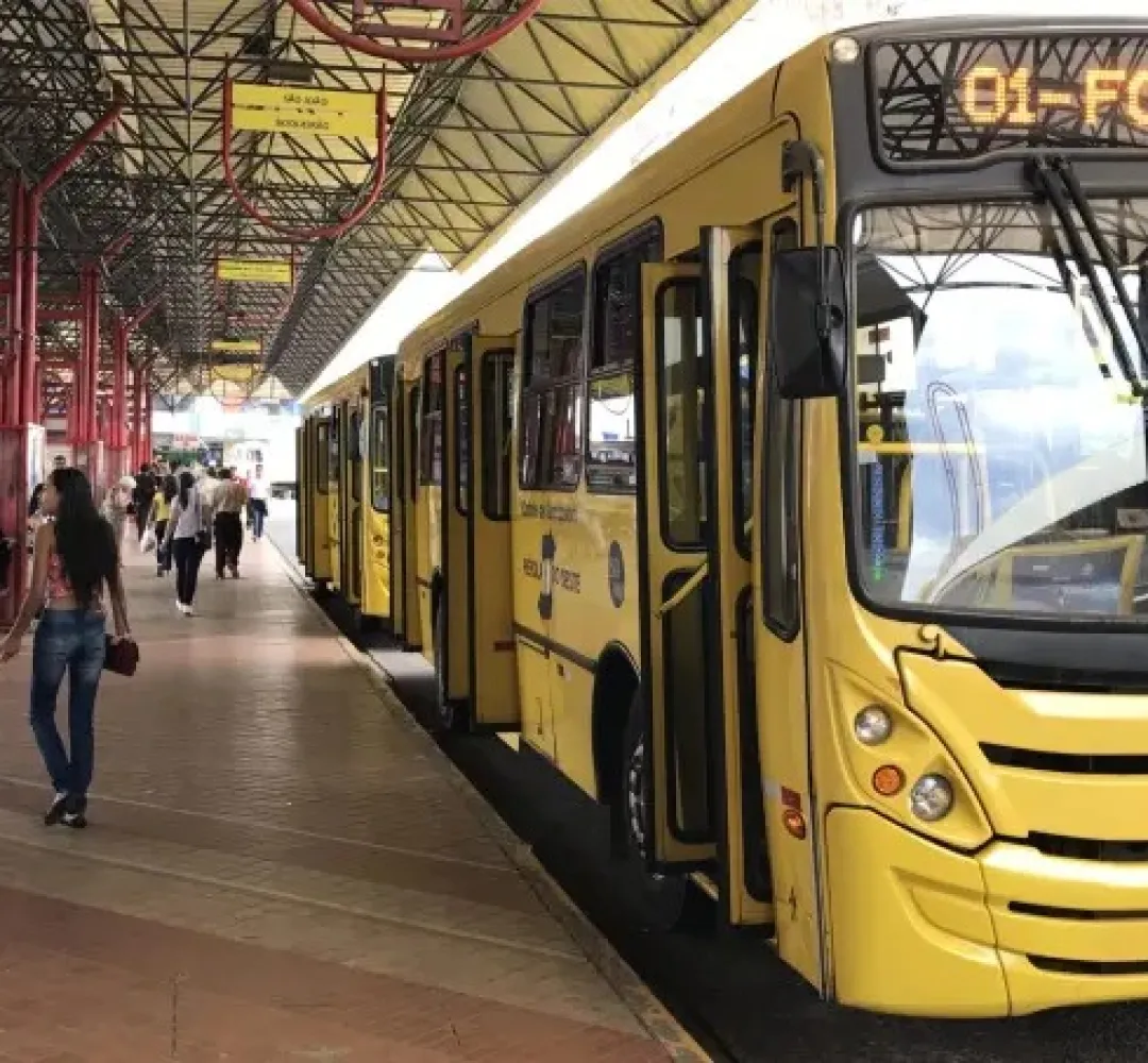 onibus