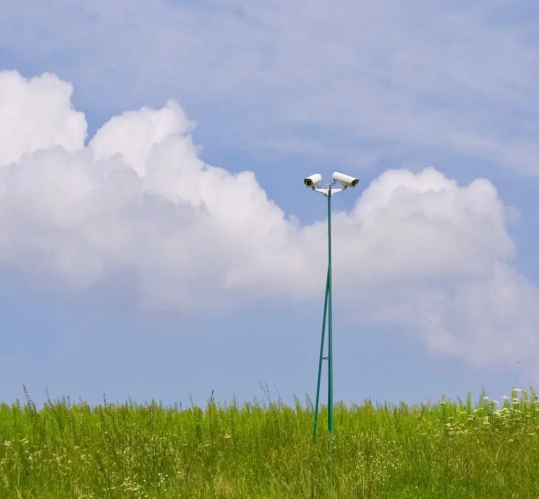 TECNOLOGIA CAMPO