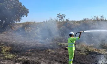 Incêndios em rodovias do Paraná acendem alerta da Via Campo para motoristas