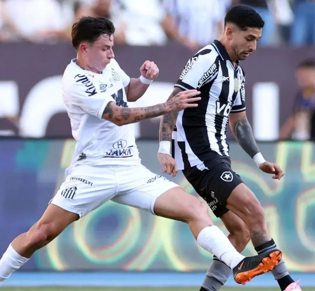 santos botafogo