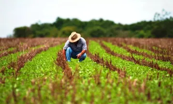 Governo publica MP para renegociar dívidas de produtores rurais; veja quem terá direito