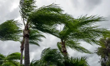 Defesa Civil alerta para ventos de até 80 km/h no Paraná; Oeste terá maior risco entre sexta e sábado
