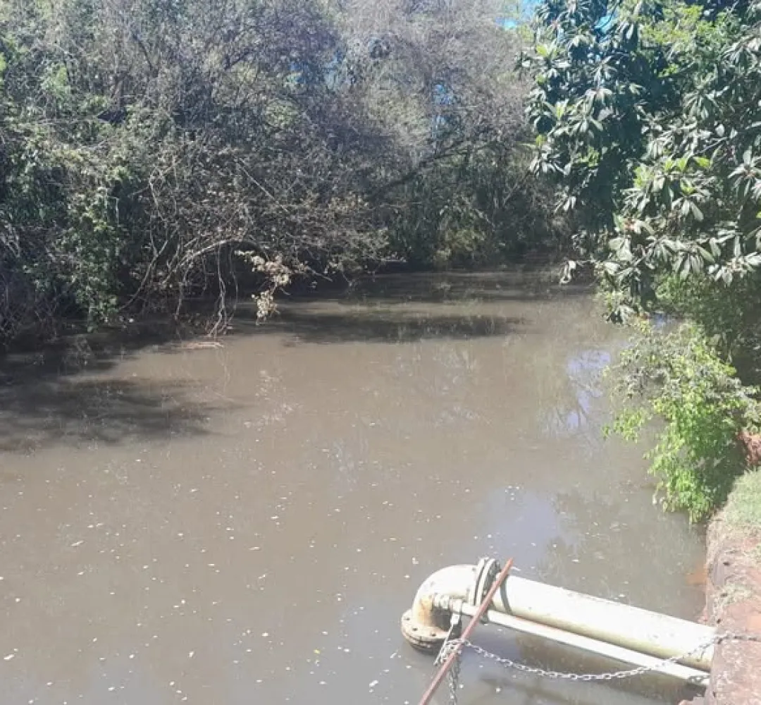 MPPR denúncia do Rio Quati  Realeza