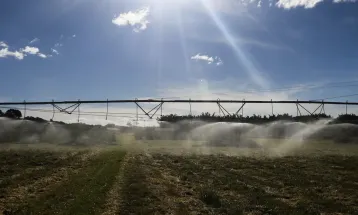 Governo publica MP para renegociar R$ 100 bilhões em dívidas do agro; veja as novas regras