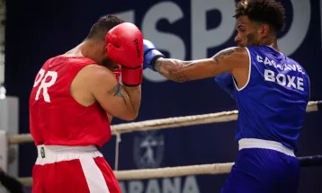 Cascavel recebe maior evento de artes marciais do Brasil e busca pentacampeonato no Paraná Combate