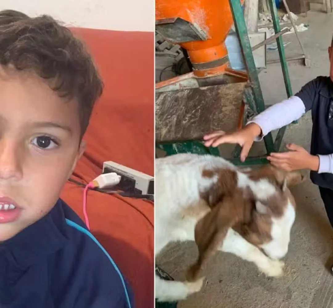 menino de 5 anos