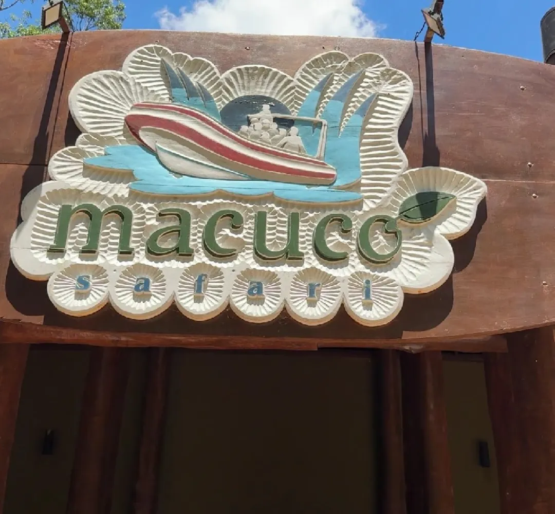 Macuco