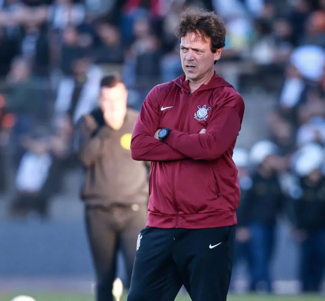 fernando diniz