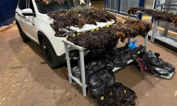 Carga com 148,2 kg de cabelo humano é apreendida pela Receita Federal em Foz do Iguaçu
