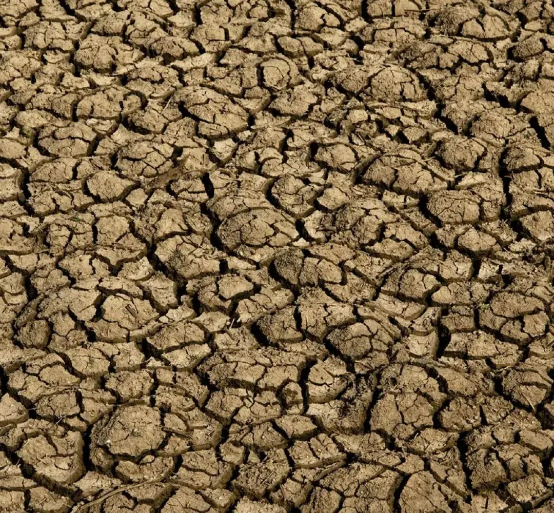 Deserto