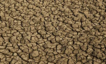 Risco de desertificação no Brasil ameaça segurança hídrica e alimentar