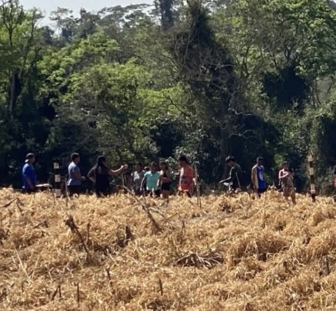 Faep repudia invasão de terras