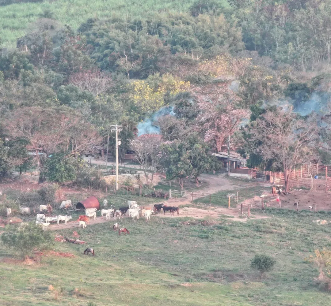 Prisão Buscariollos