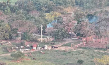 Polícia Civil confirma execuções planejadas na chacina de Icaraíma