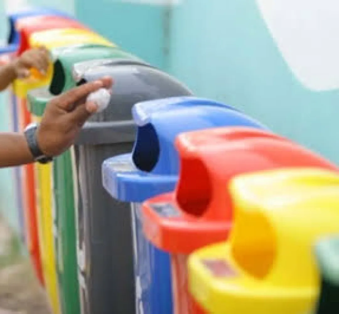 Câmara aprova separação de recicláveis nas escolas